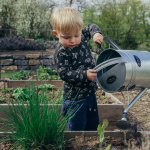 Ateliers potager chez HOBA
