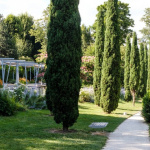 Parc de Cluny Thiais