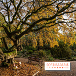 Jardin alpin automne