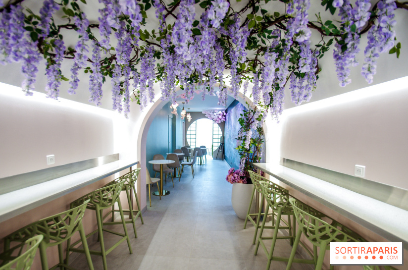 Hanami Tea Time, nos photos