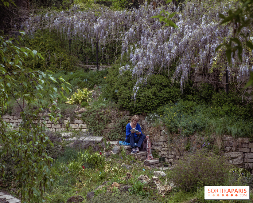 Le Jardin Alpin caché du Jardin des Plantes