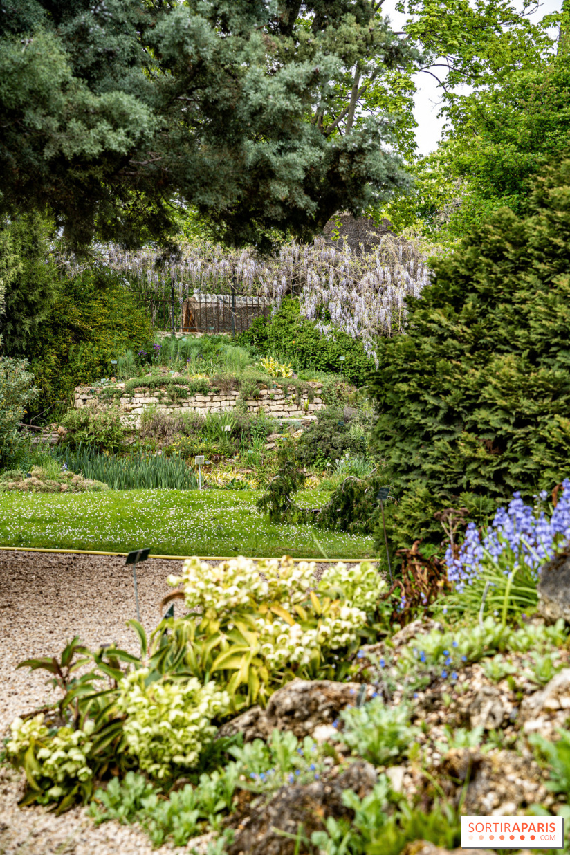 Le Jardin Alpin caché du Jardin des Plantes