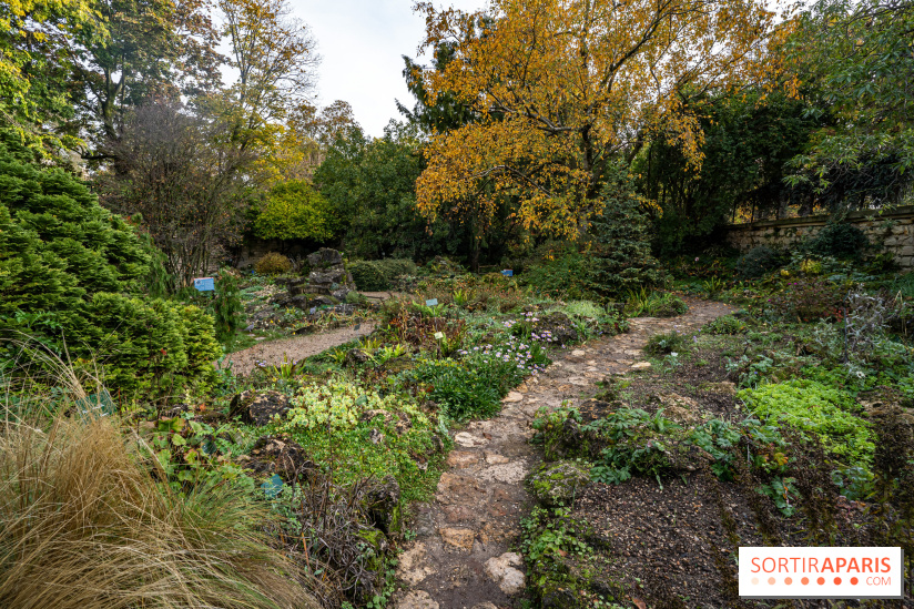 Le Jardin Alpin caché du Jardin des Plantes