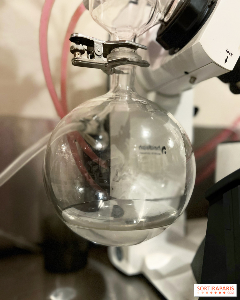 Atelier création de gin à la distillerie Baccae