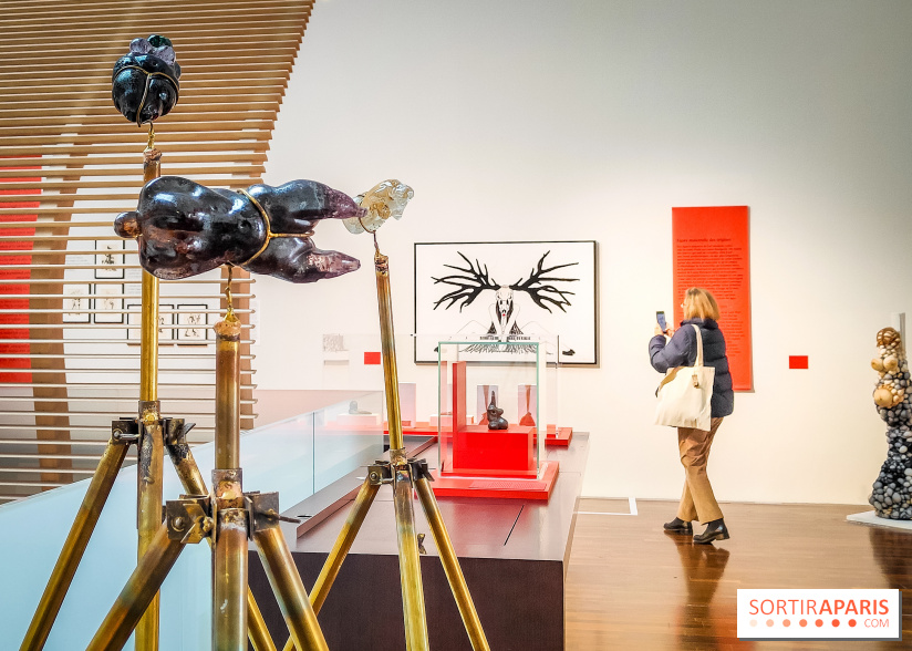 Arts et Préhistoire, l'exposition de peintures rupestres au Musée de l'Homme - nos photos