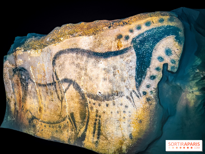 Arts et Préhistoire, l'exposition de peintures rupestres au Musée de l'Homme - nos photos