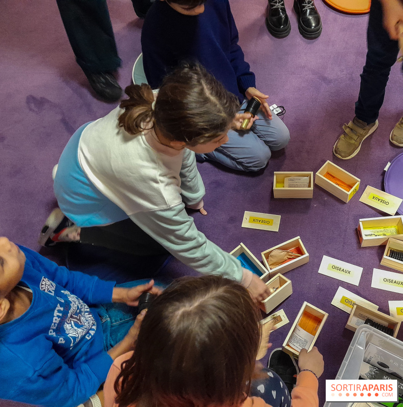 Musicanimale, l'exposition à la Philharmonie