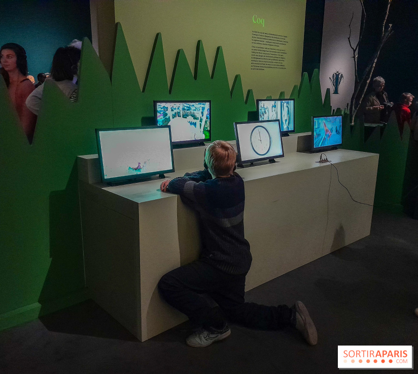 Musicanimale, l'exposition à la Philharmonie