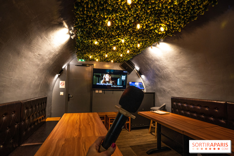 Dimdimsum Paris, le restaurant de vapeurs - karaoké