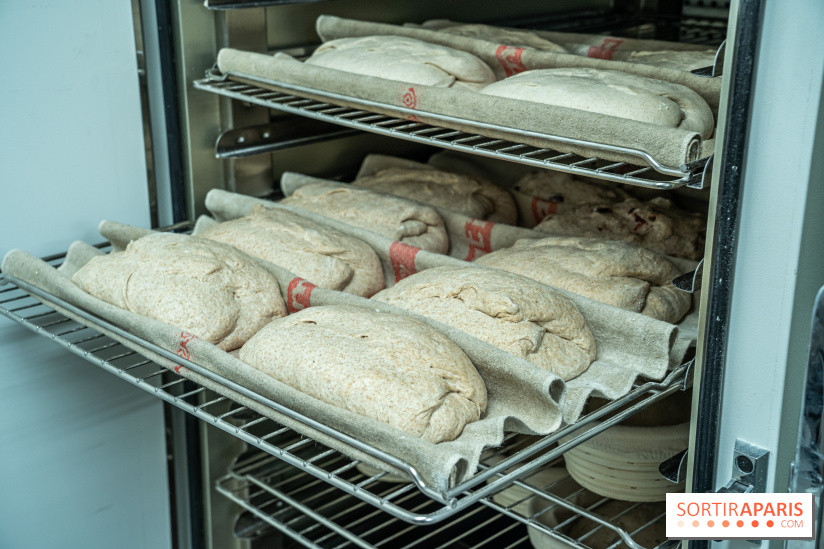 Boulangerie artisanale MieMie, levain et farines anciennes Paris 11e - levée - pain levain - fermentation longue