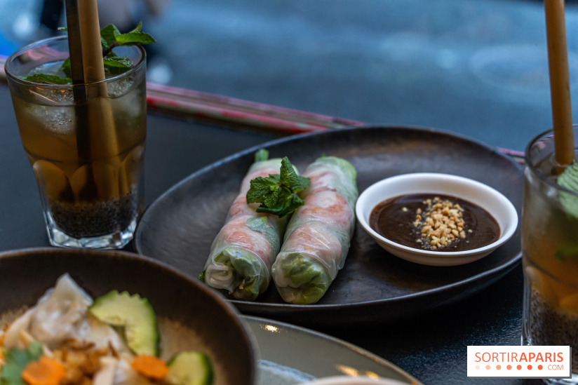 Entre 2 Rives restaurant vietnamien - houleux de printemps