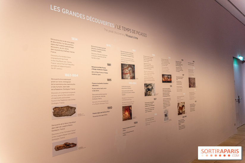 Picasso et la Préhistoire, les photos de l'exposition au Musée de l'Homme