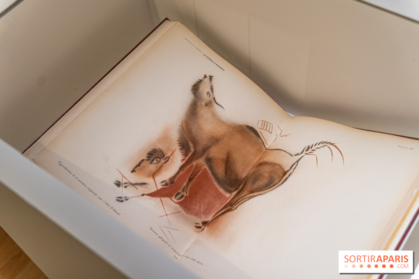 Picasso et la Préhistoire, les photos de l'exposition au Musée de l'Homme