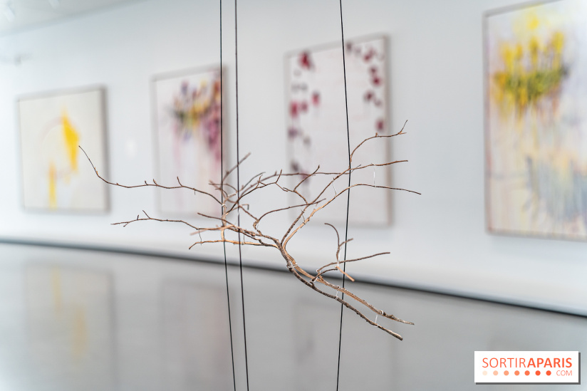 Exposition Avant l'orage à la Bourse de Commerce - Pinault Collection - urgence climatique