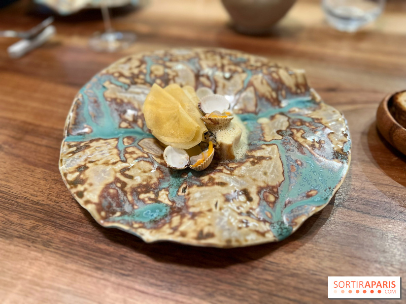 Accents Table Bourse - Bar et coques