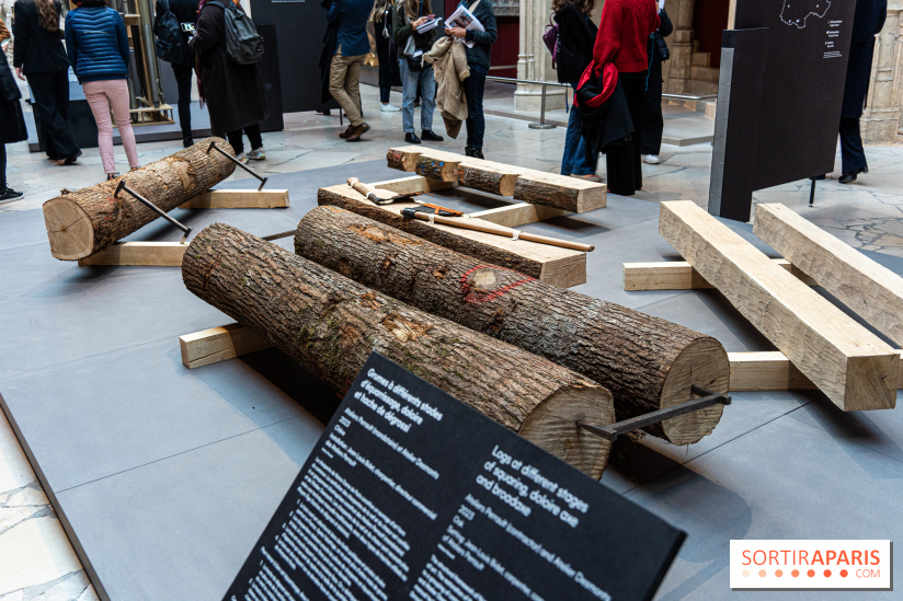Exposition Notre-Dame de Paris - des bâtisseurs aux restaurateurs - Cité de l'Architecture - A7C2857