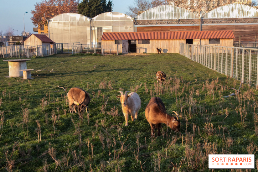 Fermes de Gally - Saint Denis - 121E8A17 ECDB 4F1B 90A8 CF8CA8E2C832