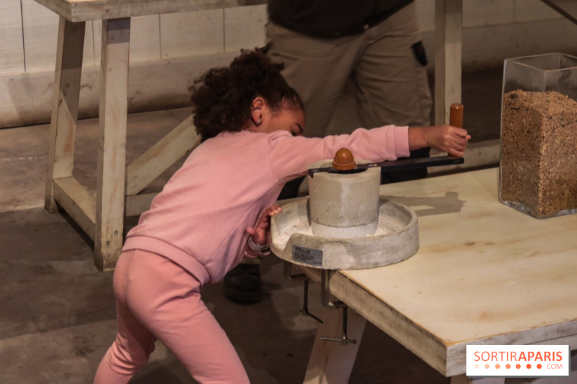 Fermes de Gally - Saint Denis - 80A92327 F49C 4963 8DEA D620C5E3A8F3