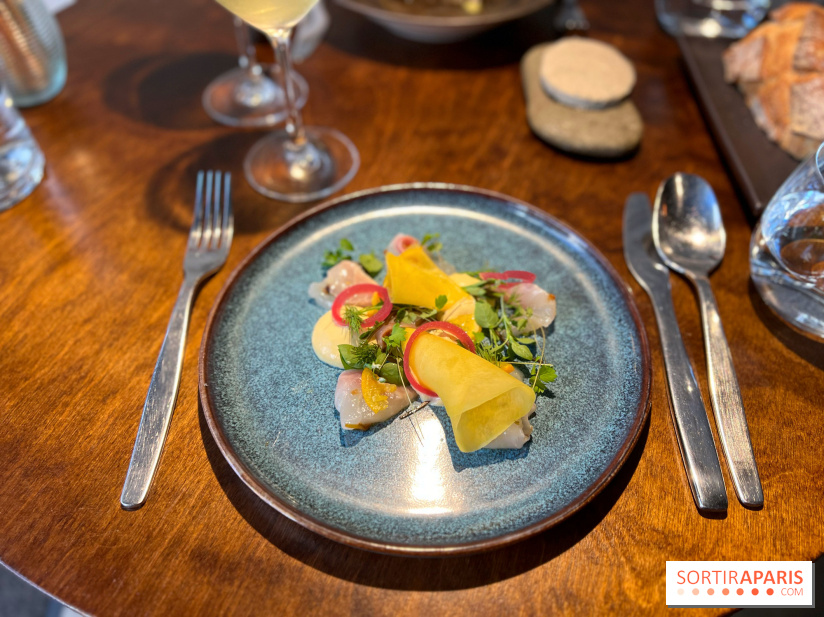 Perception - Sashimi daurade et tarama