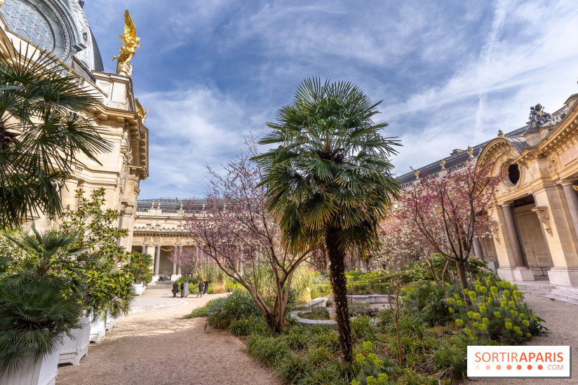 Petit Palais - Collection permanente  -  jardin
