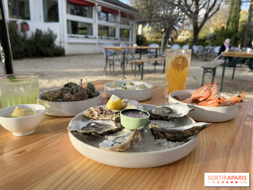 Le Chalet des Îles Daumesnil - le concept du Perchoir