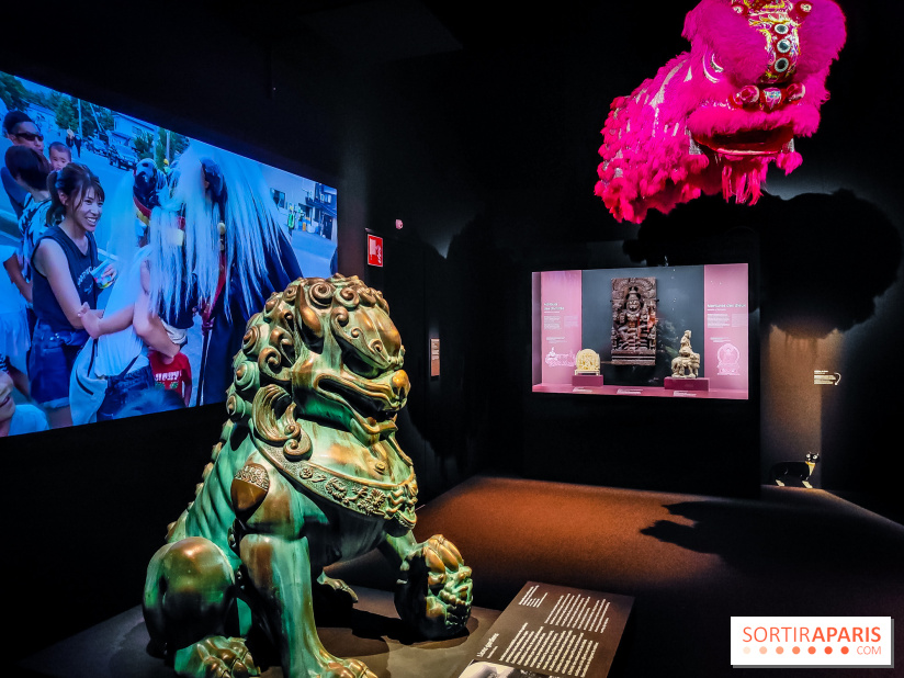 Félins, l'exposition qui nous fait craquer au Muséum national d'Histoire naturelle - photos - IMG20230321103938