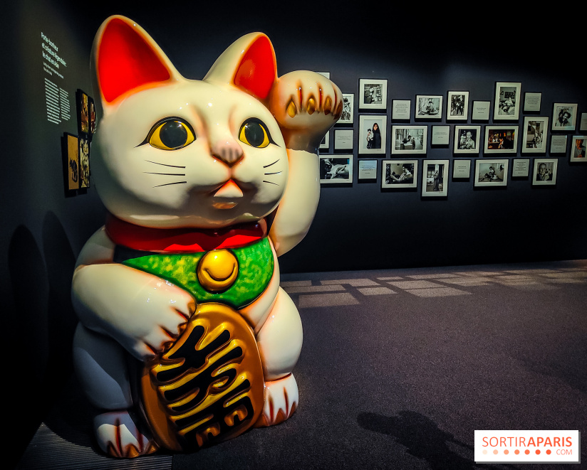 Félins, l'exposition qui nous fait craquer au Muséum national d'Histoire naturelle - photos - IMG20230321110439