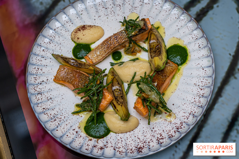 Rivages restaurant du Scribe par Martin Simolka - truite rose de baigorri - gremolata de salicorne - avocat brulé