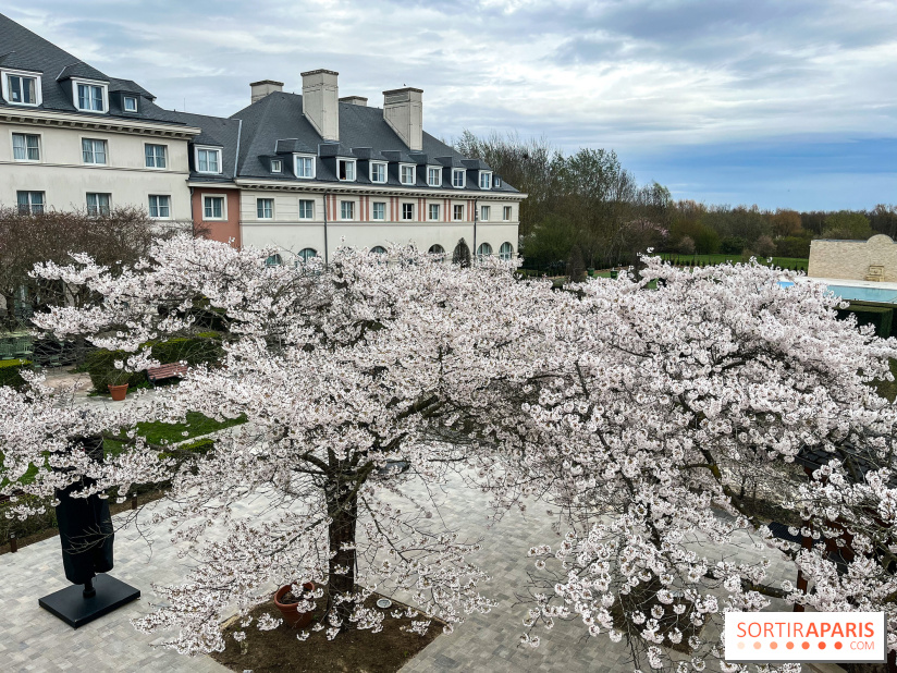 Dream Castle Hôtel, le 4**** familial à côté de Disneyland - DF1D65F8 045F 4FB6 916A B951B8CA8D26