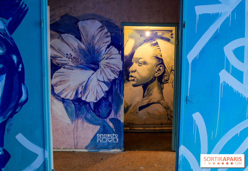 Festival Planète Périphérique à Paris, nos photos - 3 IMG 9635