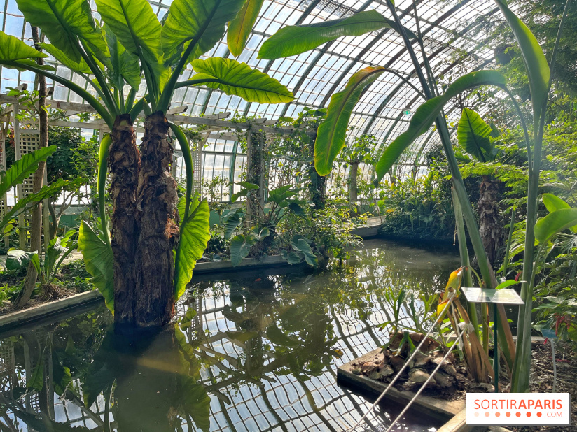 Le Jardin des Serres d'Auteuil