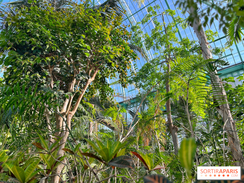 Le Jardin des Serres d'Auteuil - IMG 1552