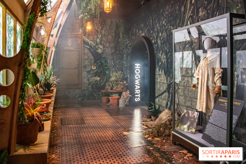 Harry Potter l'exposition cours de botanique