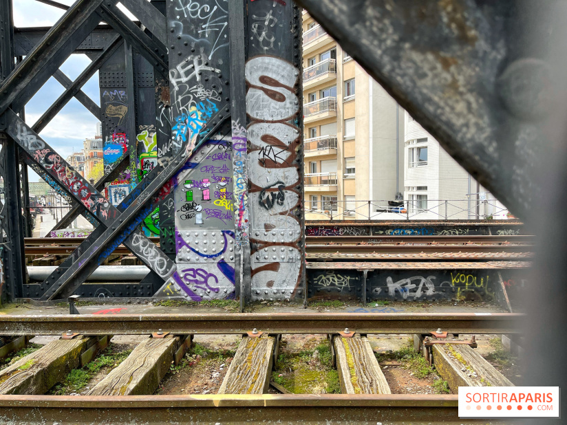 Balade sur la Petite Ceinture du 19e - IMG 1966