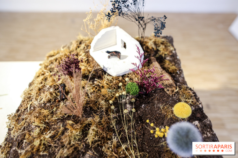 Paris Animal, nos photos de l'expo à Paris - IMG 9769