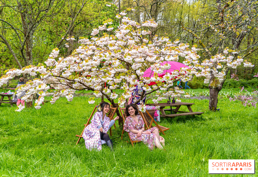 Le Moulin jaune - Hanami 2023