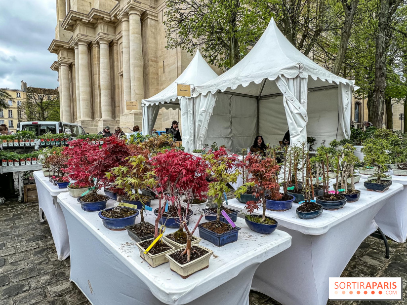 Esprit Jardin à Versailles - Marché aux plantes et animations