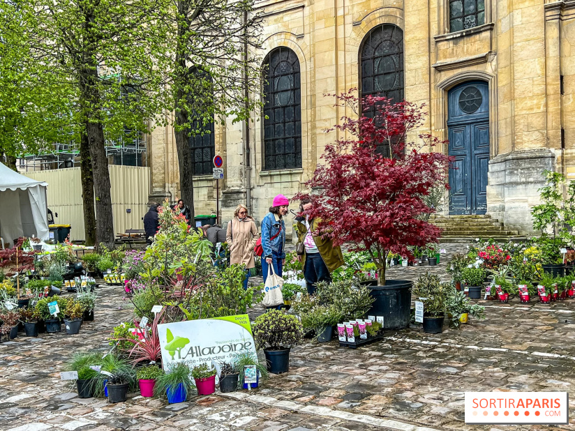 Esprit Jardin à Versailles - Marché aux plantes et animations  - IMG 6090