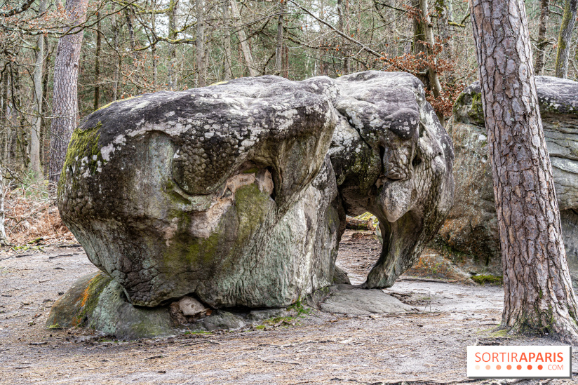 Barbizon, le village entre art et nature