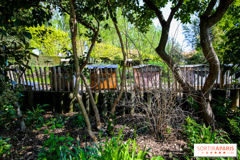 L'île de la Jatte, nos photos - IMG 9711