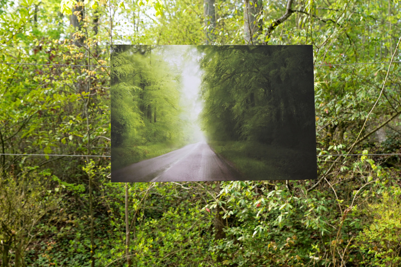 Réparties : l’exposition en plein air au domaine national de Saint-Cloud