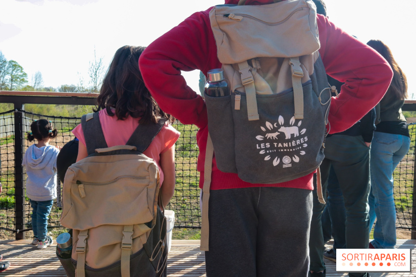 Les tanières du zoo de Thoiry 2023 -  Ours