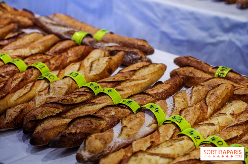 Concours de la meilleure baguette de Paris 2023 - Visuel baguette pain