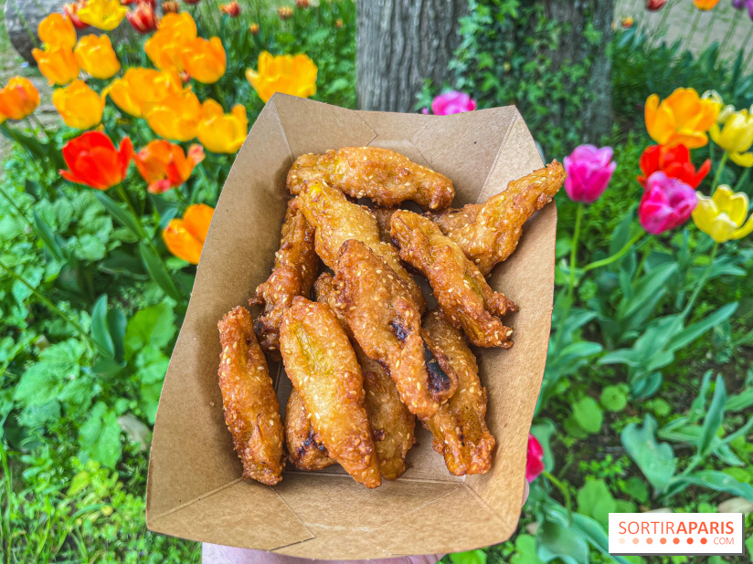 Wat Thammapatip Inrernational : la pagode bouddhiste et sa street food thaï, à Moissy-Cramayel - 2998D275 6BF8 4ABE BB85 082D65599E92