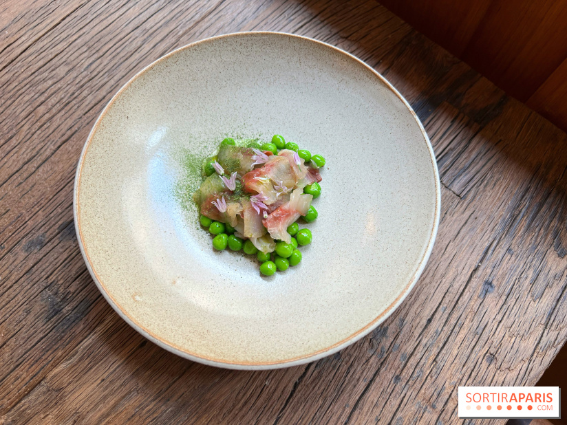 Géosmine - Maquereaux petits pois