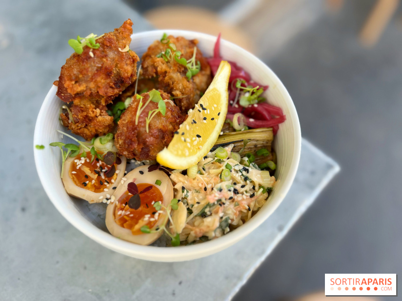 Nakatsu - Donburi karaage