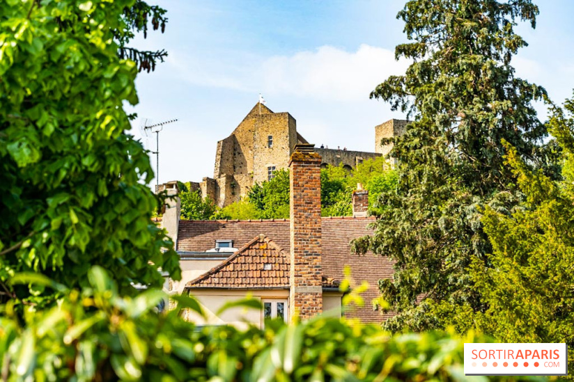 Le Château de la Madeleine à Chevreuse