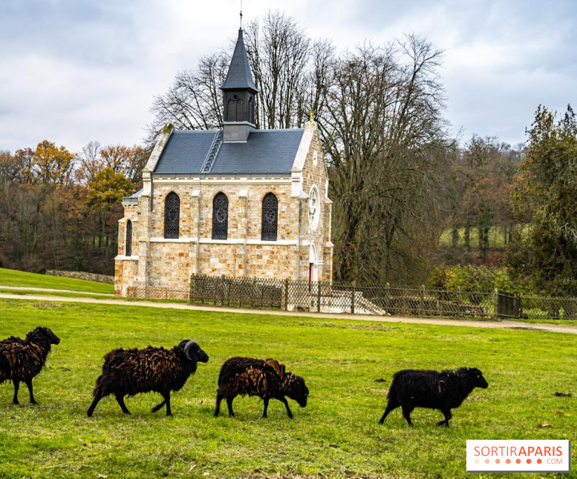 Domaine National de Port-Royal des Champs dans les Yvelines