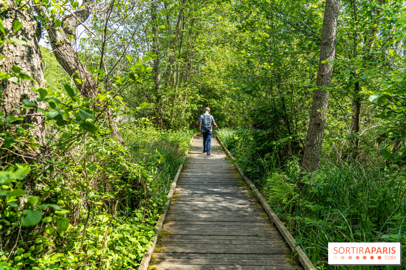 Sentier découverte de Maincourt - Vallée de Chevreuse - A7C4083