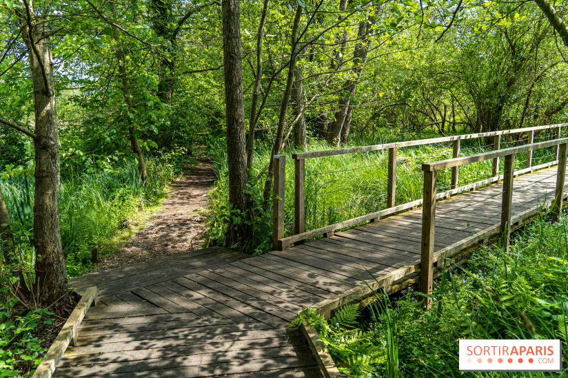 Sentier découverte de Maincourt - Vallée de Chevreuse - A7C4086